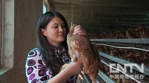 王秀琴