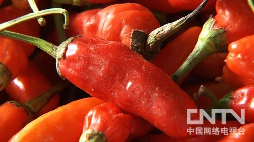辣椒