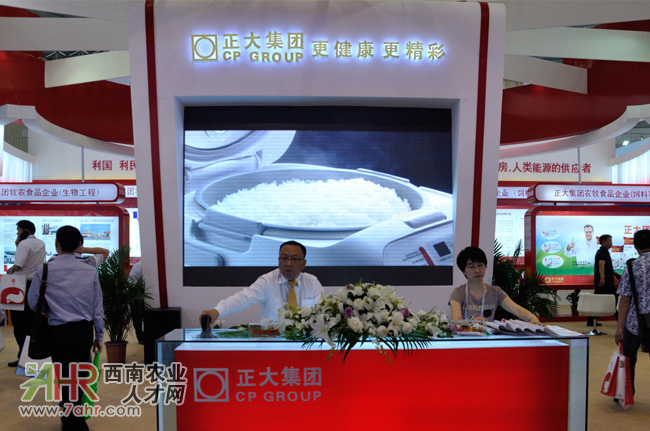 ɶ2013Ї(gu)ϹI(y)չ[(hu)F(xin)(chng):󼯈F(tun)ǰ_(ti)T